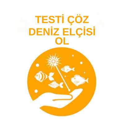 deniz elçisi ol